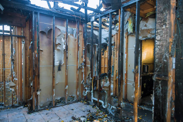 Professional Odor Removal technician working in Pineville, KY