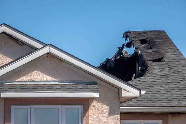 Top rated local Odor Removal specialists in Pineville, KY